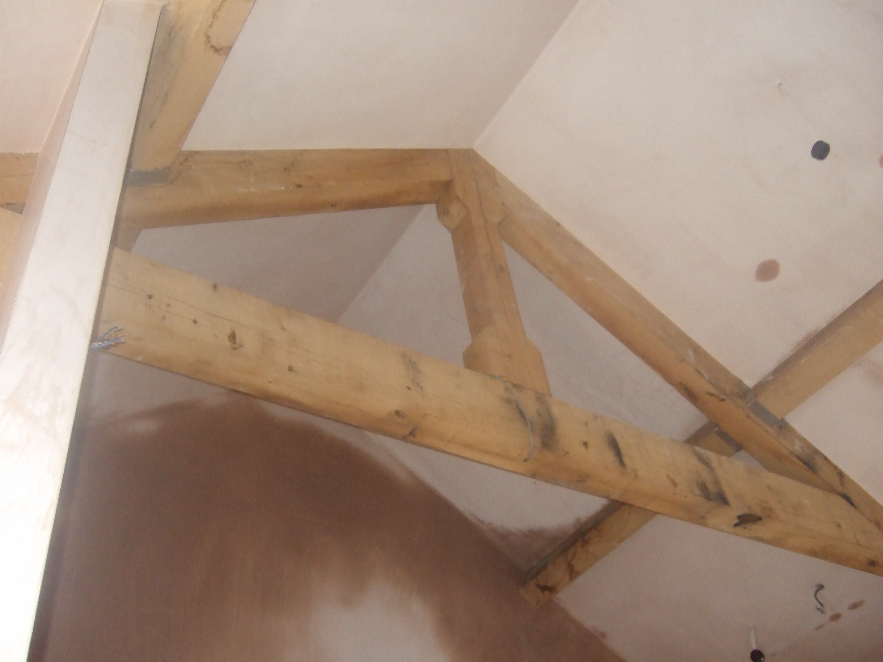 Dulcote,2010 (7)